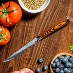 Best Japanese Kitchen Knives 2020