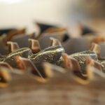 How to sharpen table saw blades