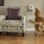 10 Best Pet Camera with Treat Dispenser