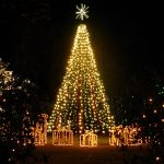 10 Best Outdoor String Lights - Outdoor Lights Reviewed