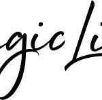 BEST <b> Magic Craft </b> Coupon, Discount Code, 2022