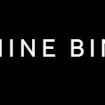 BEST <b> ANINE BING </b> Coupon, Discount Code, 2022