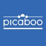 BEST <b> Picaboo - Dynamic </b> Coupon, Discount Code, 2022