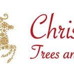 BEST <b> Christmas Trees And Lights </b> Coupon, Discount Code, 2022