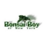 BEST <b> Bonsai Boy of New York </b> Coupon, Discount Code, 2022